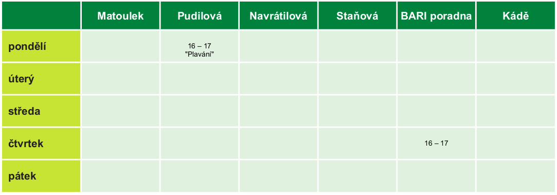 program